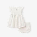 Tea Party Flutter Sleeve Knit Baby Dress