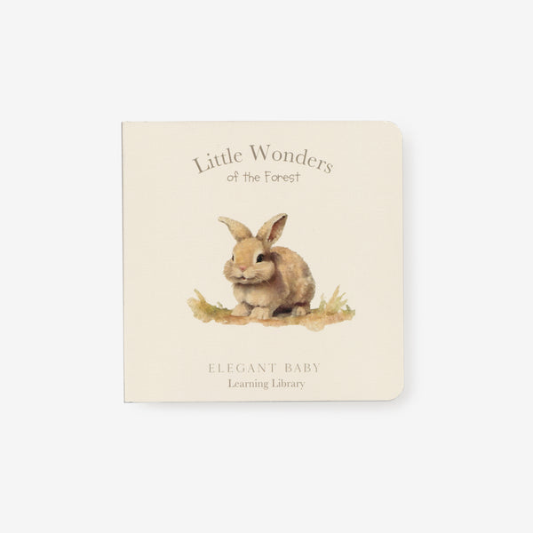 Little Wonders Forest Board Book