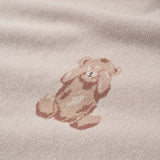 Teddy Bear Knit Baby Blanket