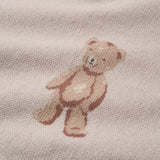 Teddy Bear Knit Baby Blanket